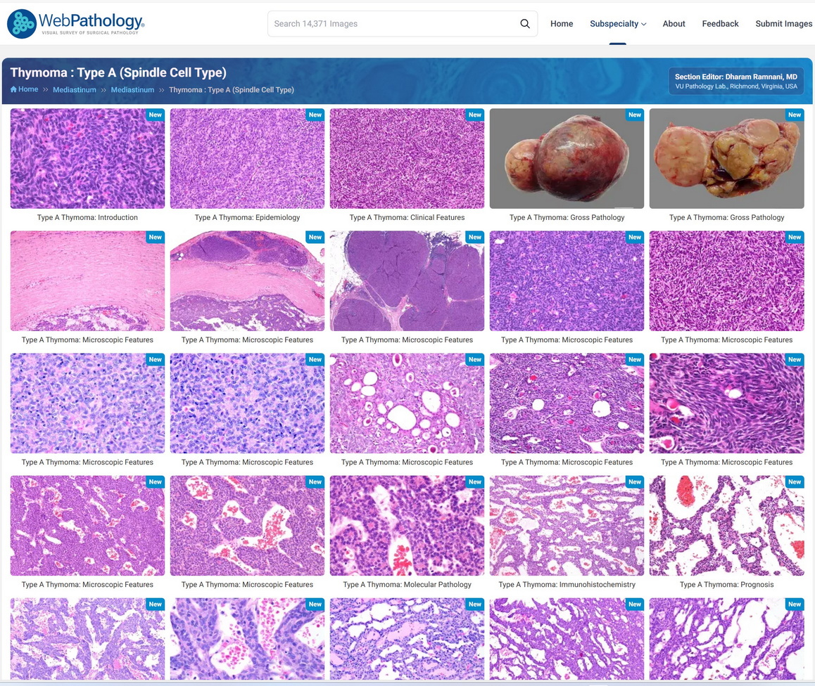 WebPathology tweet media