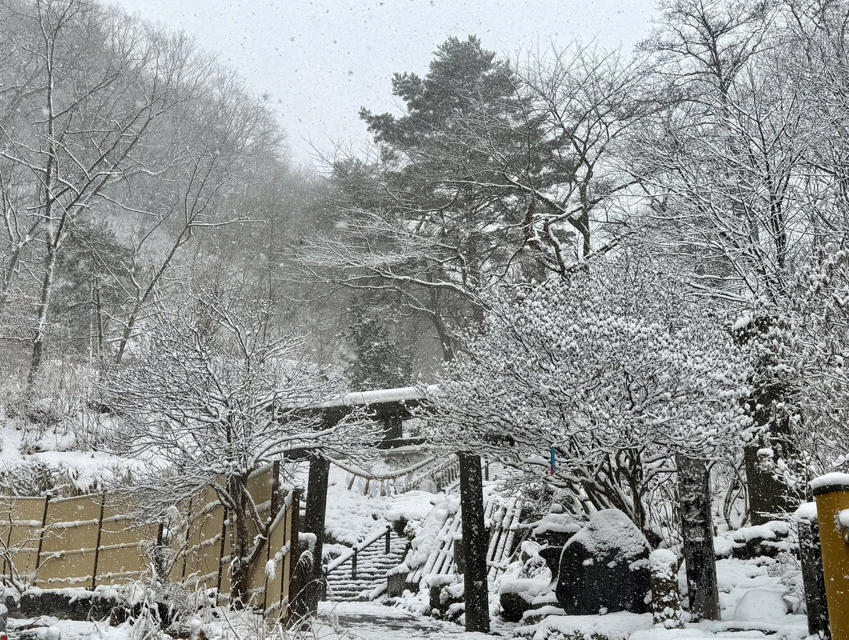 追いかけて　追いかけて　追いかけてェ〜〜〜🏔️雪國ｨ