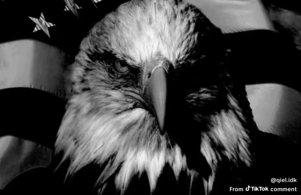 Viral 👑 tweet media