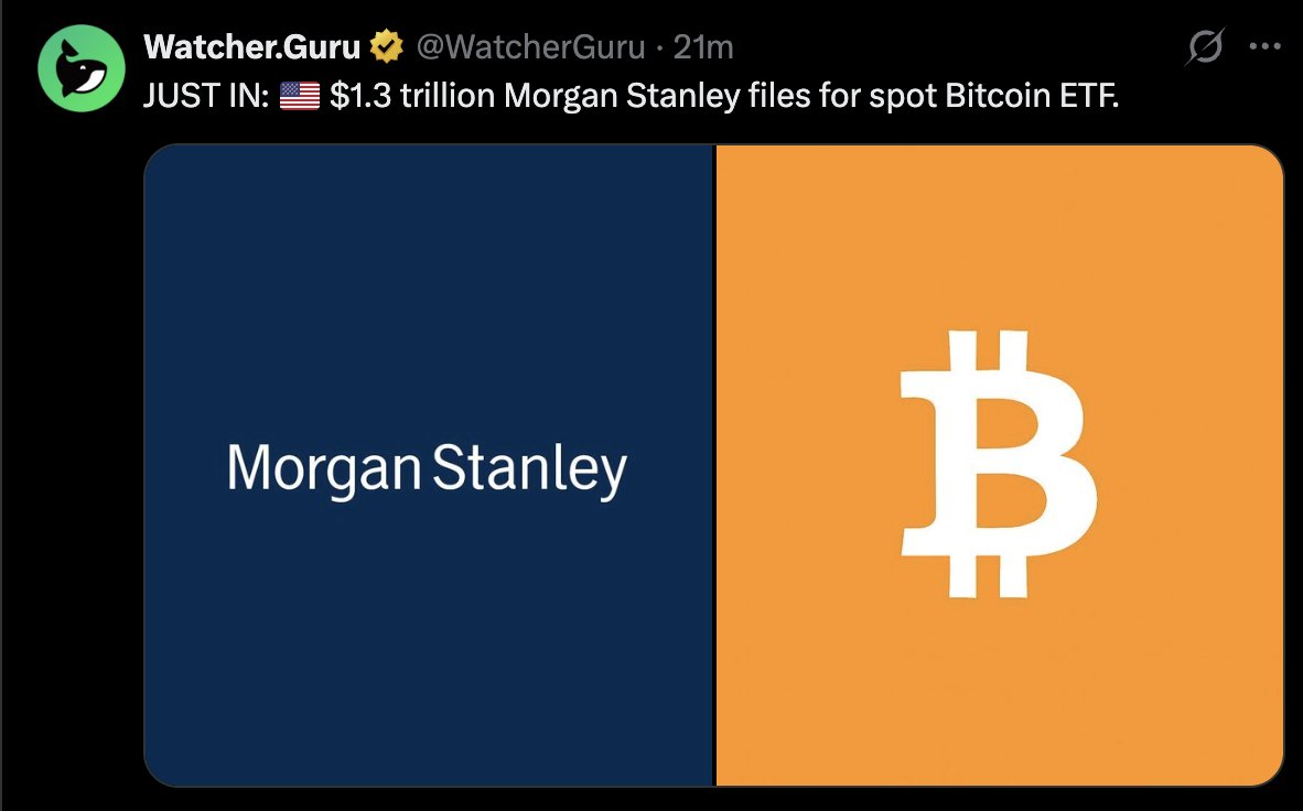 폭발적으로 커지는 BTC 생태계] 어제는 월마트, 뱅크 오브 아메리카 BTC 수용 오늘은 모건 스탠리의 BTC ETF 신청 글로벌 공룡  기업, 탑티어 금융기관들이 앞 다투어 BTC를 담고 있습니다 기관이나 개인들은 이 BTC를 어떻게