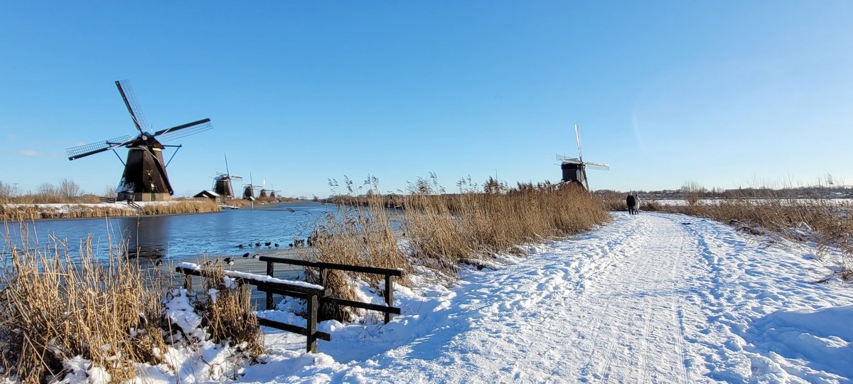 johan_klos's tweet photo. Goedemiddag heerlijk #wandelweer bij #alblasserdam en nog vrij #rustig zag pas laat dat de #molens in #rouwstand stonden #weerfoto https://t.co/5Kr6Rk7eNH
