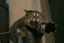 icouldloveher's tweet image. NOOO STEVE