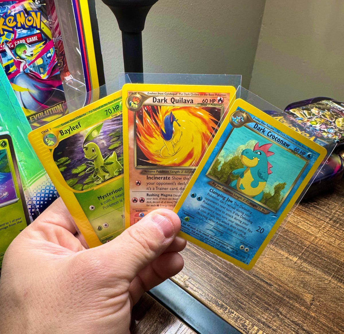 PermCollection3's tweet image. Good Morning!

The Middle Child is the forgotten child and never gets enough love. That’s the same for Pokemon!

Who’s your favorite middle evolution pokemon? 
#Permfection #Pokemon #pokemontcg