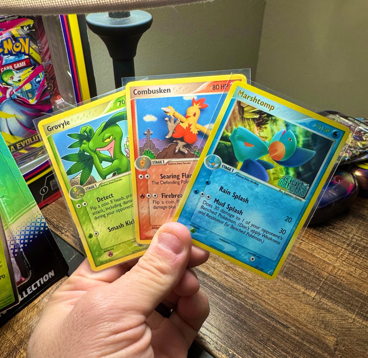 PermCollection3's tweet image. Good Morning!

The Middle Child is the forgotten child and never gets enough love. That’s the same for Pokemon!

Who’s your favorite middle evolution pokemon? 
#Permfection #Pokemon #pokemontcg