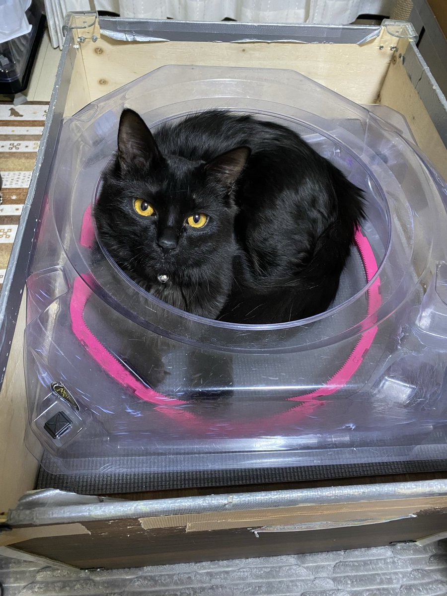 Aki パパ (@Akipapa2469) / Posts / X