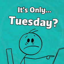 SISTUD's tweet image. 