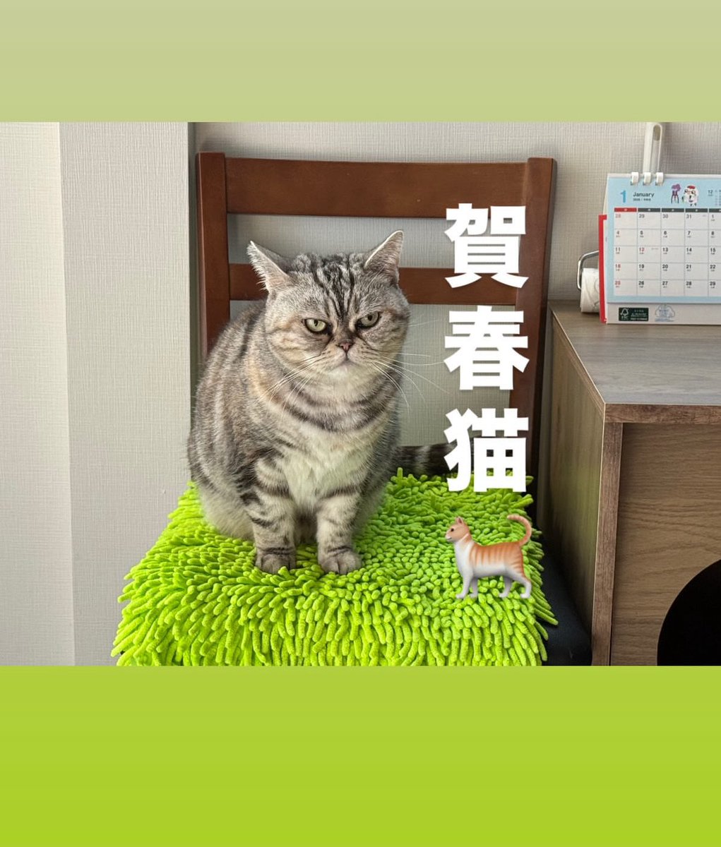 14maru30's tweet photo. 遅ればせながら…
あけましておめでとうございます🎍

自分の身体に自信がある訳ではないが、
一時期の危機感とか真っ直ぐさが
失われてしまって、絶賛迷子です〜🏃‍♂️

なのでキッカケを作ろうと思ってたら
結婚式の挨拶を頼まれたので
「そこで着るスーツのために」を
キッカケに頑張ろうと思ってます！ https://t.co/sp0GERoDZL