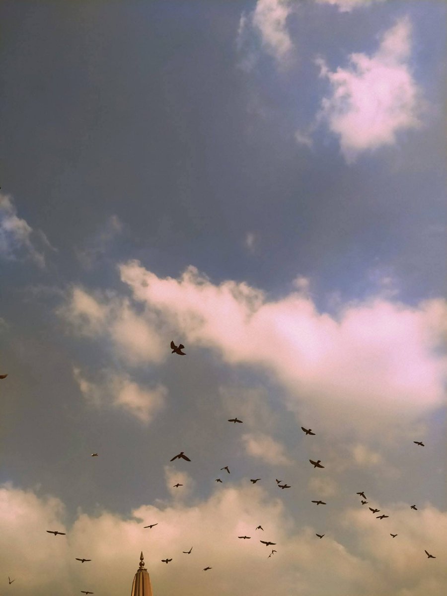9410zain's tweet photo. يُصبِحُ حُرًّا مَن لا ينتظِرُ شيئًا."

📸 Nada m. Harhara https://t.co/654fcligct