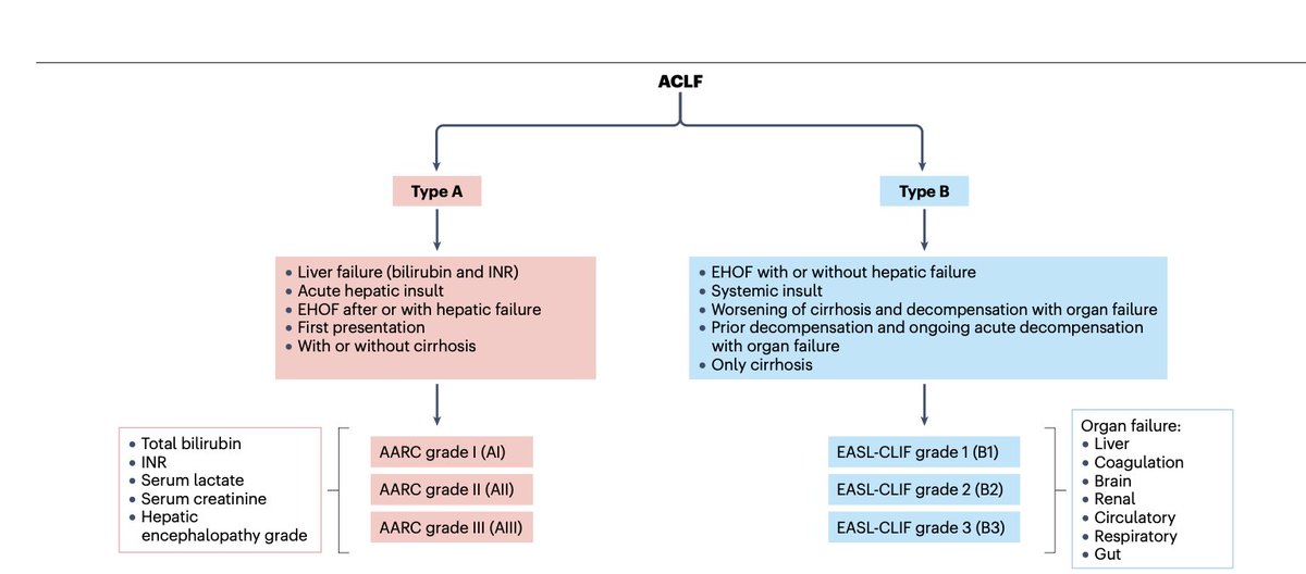 Oliverio tweet media