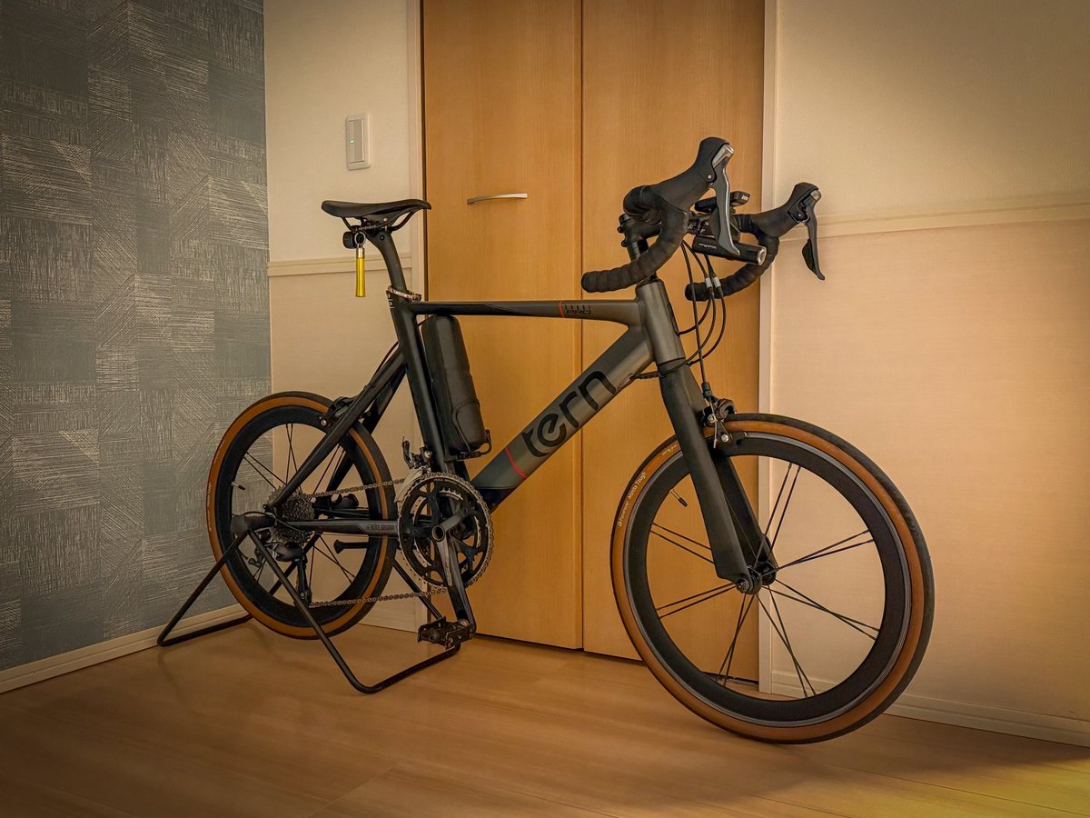 【東京近郊受渡し希望】TERN RALLY クロスバイク サイズ53 即乗可能 tern rally-ターン