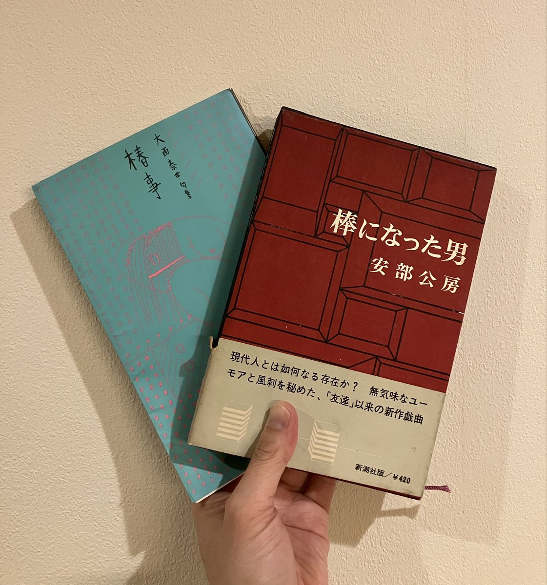 読み初め

昨年末、最高すぎる古本屋の閉店セールにて、捨て値で購入した本群より。