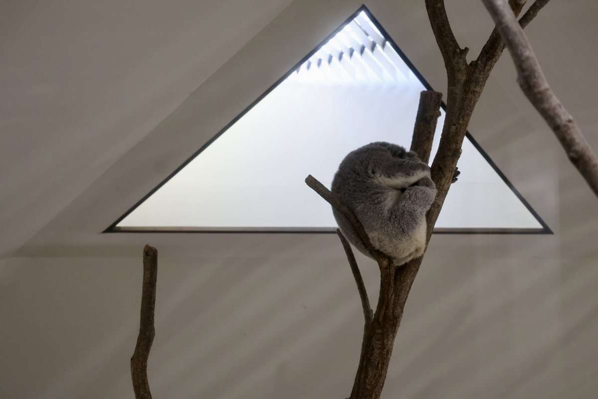 △とさち 2026.1.6 #埼玉県こども動物自然公園 #さち