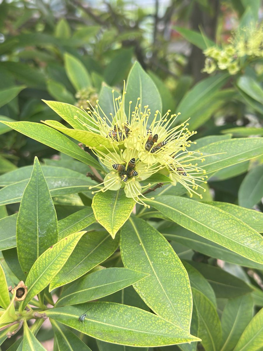 ธรรมชาติ สวยงามเสมอ.