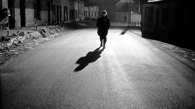 Cedric Paternotte tweet media