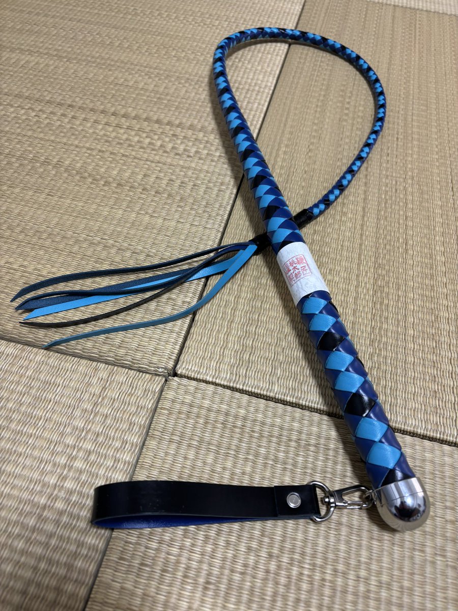 鞭匠 初代 桃太郎 (@momowhips) / Posts / X