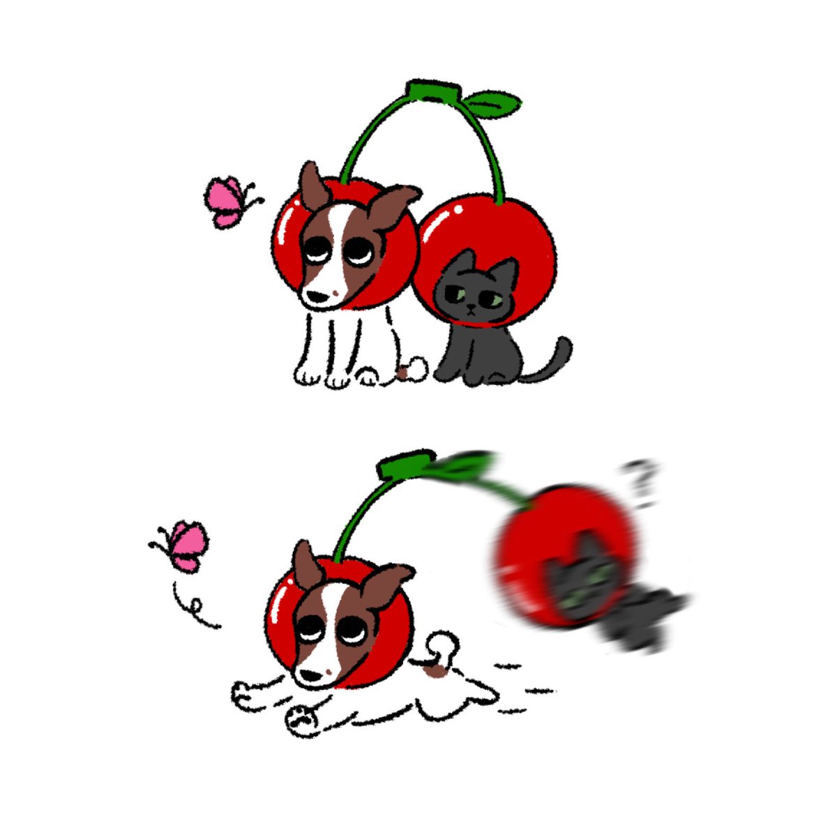 🐶🐱⁉️