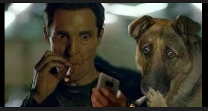 The Tigress of Limsa 🔞 tweet media