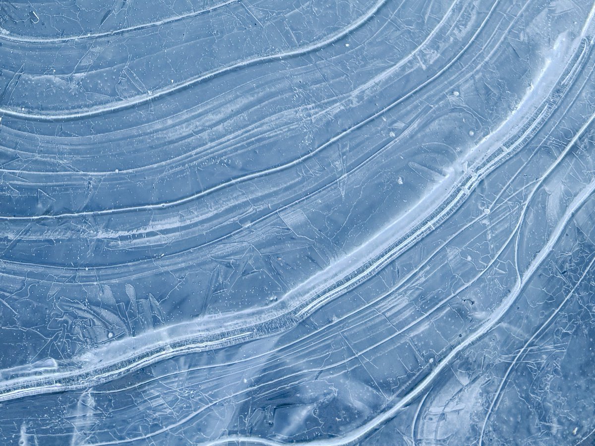 sao_hr14's tweet image. 凍結した水たまりをiPhoneで撮影しました🧊