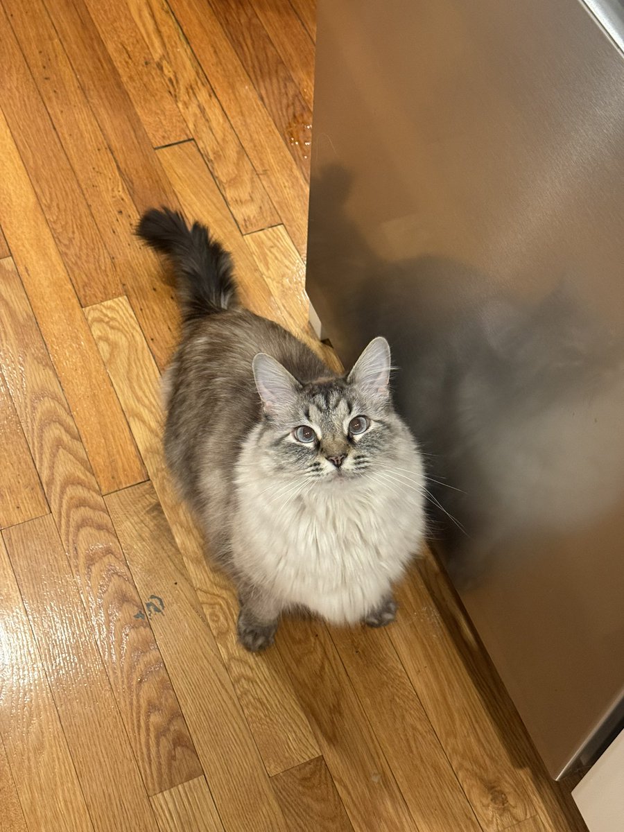 DrBricktop's tweet image. I do it for them. 
GM