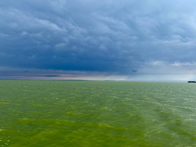 Our <a href="/GLHABsCollab/">HABs Collaborative</a> is hosting a new webinar series on communicating HAB risk!

The first webinar will occur Jan 21 and focus on how communities perceive scientific information and how these perceptions influence public engagement &amp; decision-making. 

ow.ly/eHPo50XSqXq