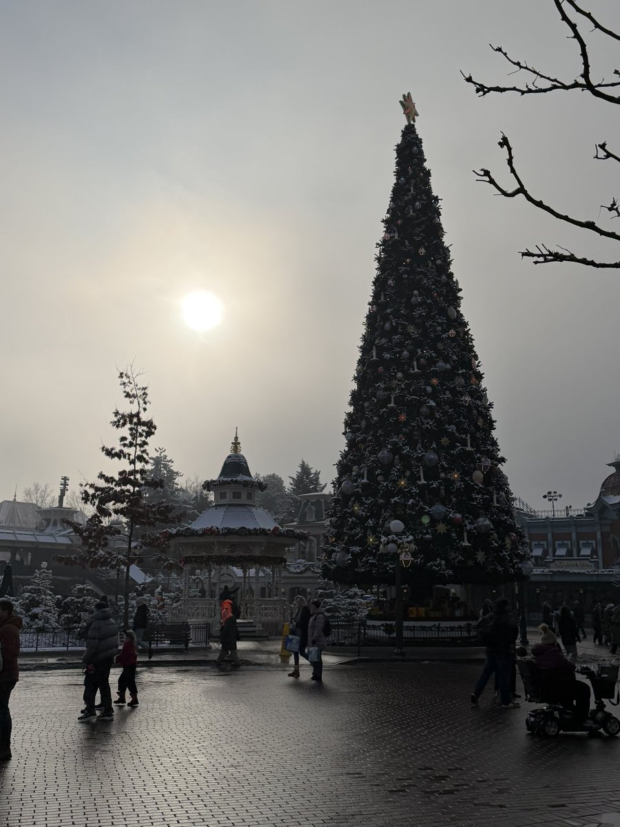 ✨ ❄️ ✨

#disneylandparis #neige