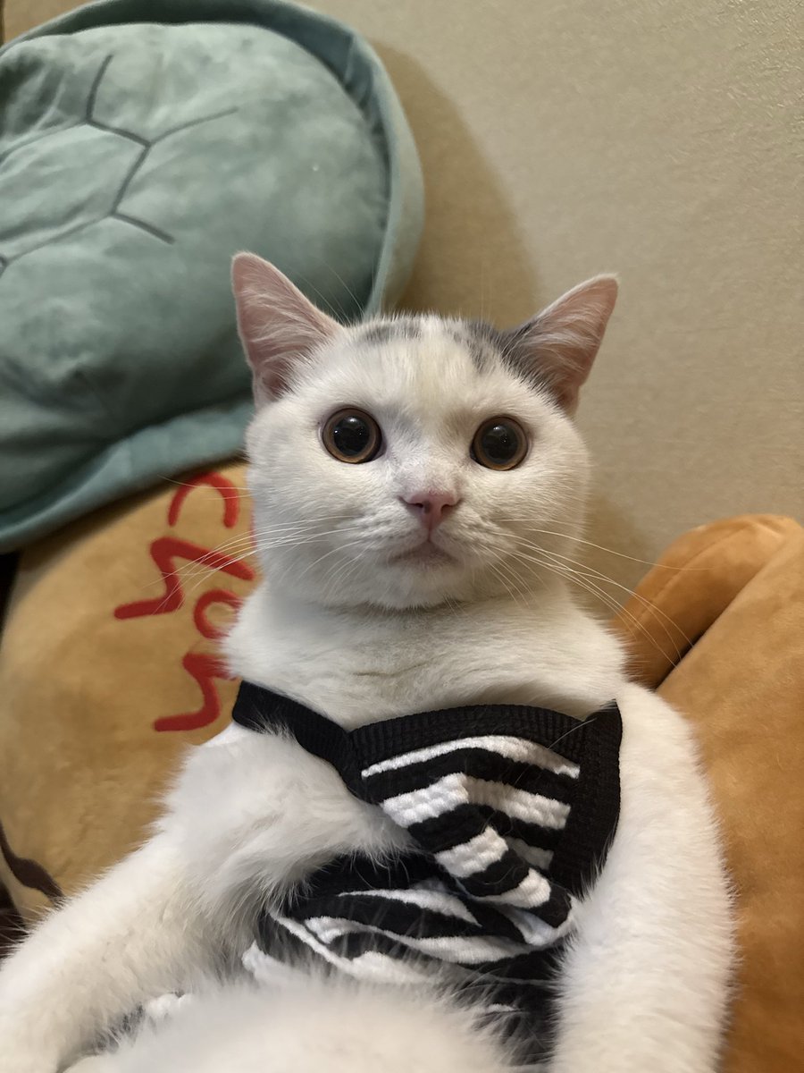 yoojeenoo's tweet photo. ทุกคน น้องปุ้มเป็นเด็กผู้ชาย https://t.co/495ZMl2eEt