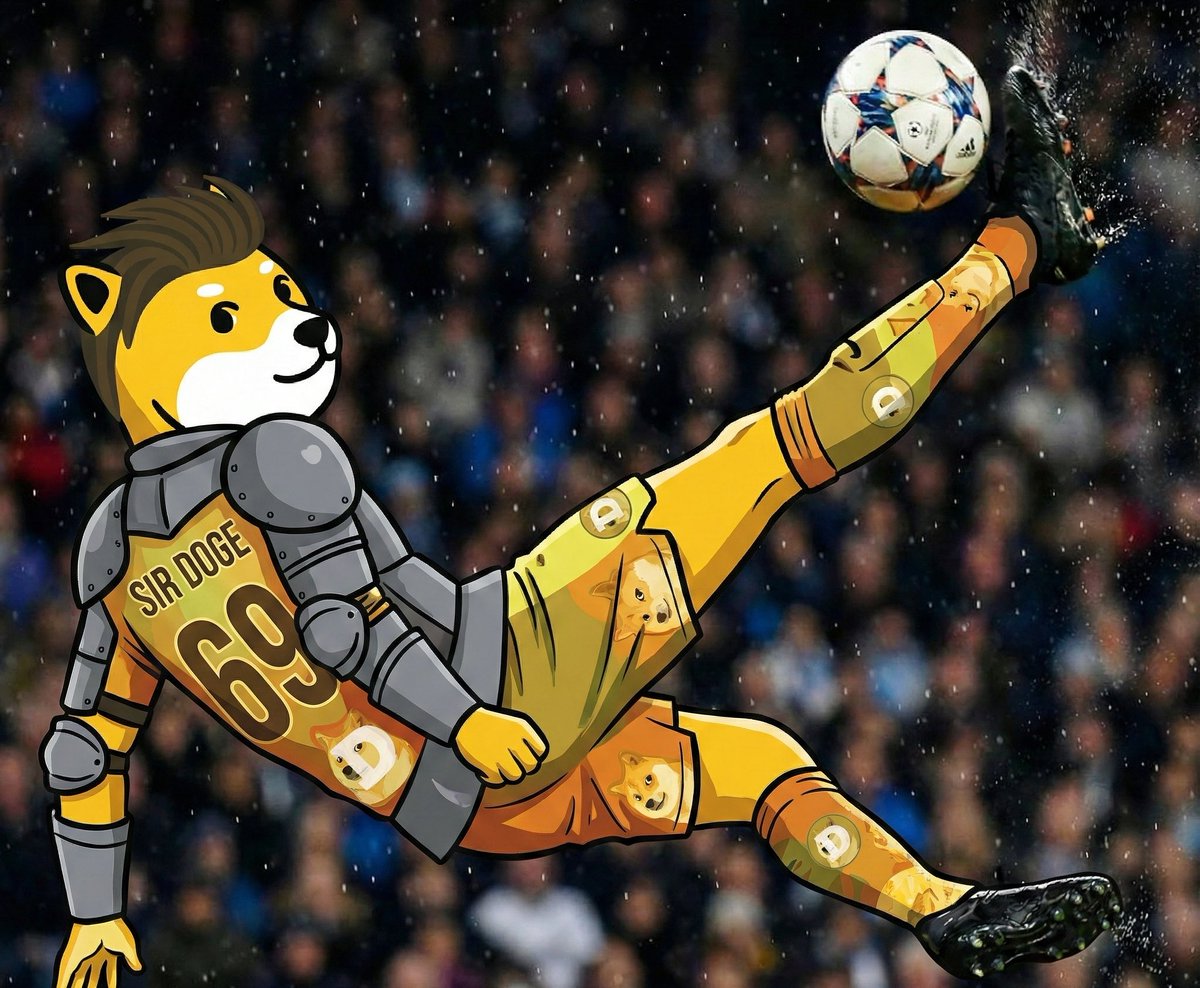 Sir Doge of the Coin ⚔️ tweet media