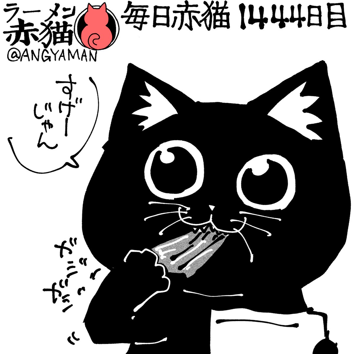 杏 赤猫