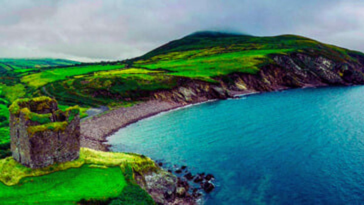 Collier County Bar tweet media