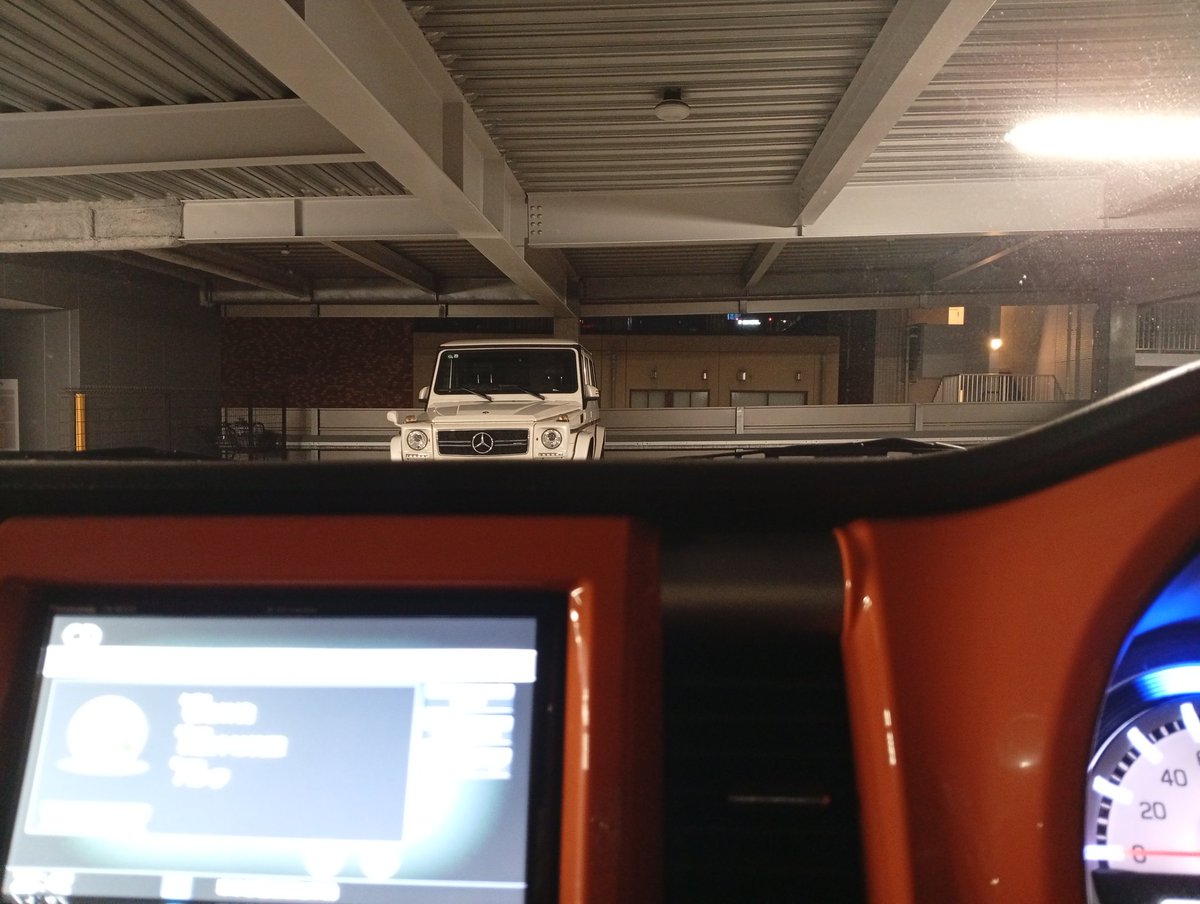 Post by こっちゃん on X: 帰るよ〜🌝