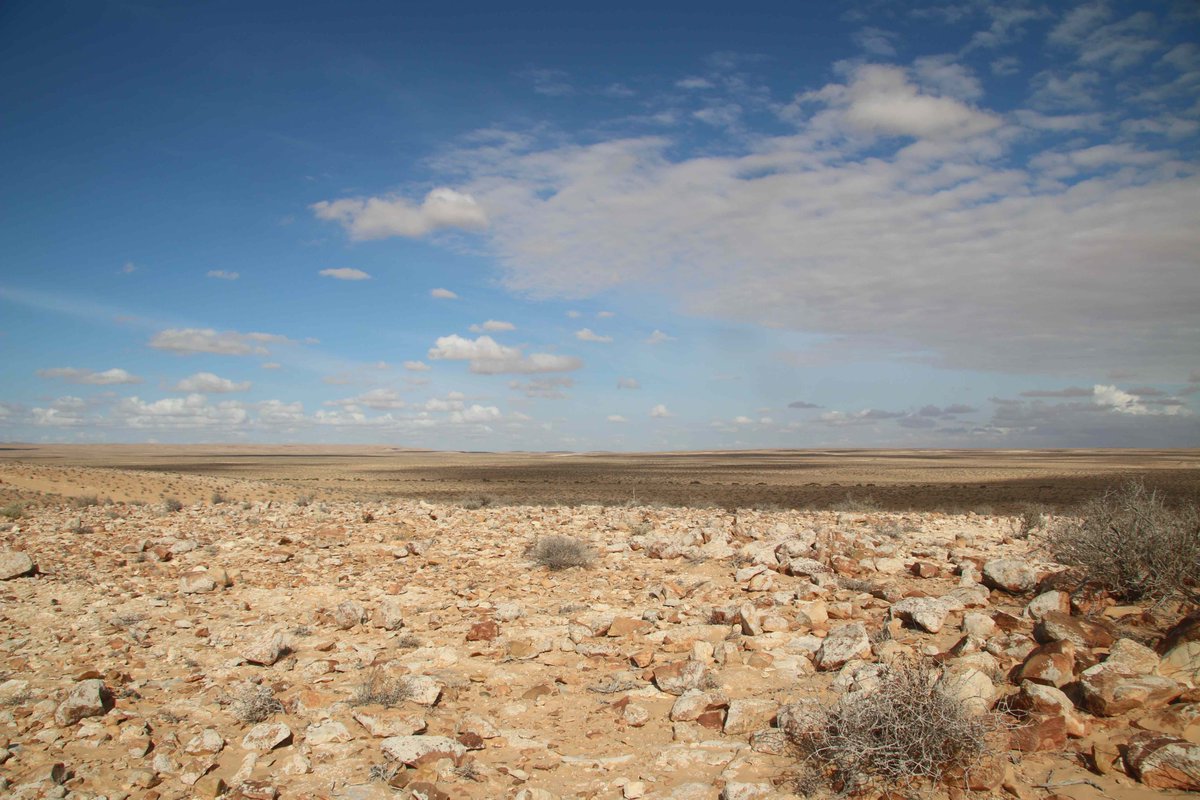 ICArEHB's tweet photo. 🪨 How do #StoneTools survive millennia in the #Sahara? #ICArEHB’s Emanuele Cancellieri joins a team investigating #flint decay: https://t.co/nMfpra66L5 https://t.co/9a6yQFLGTJ