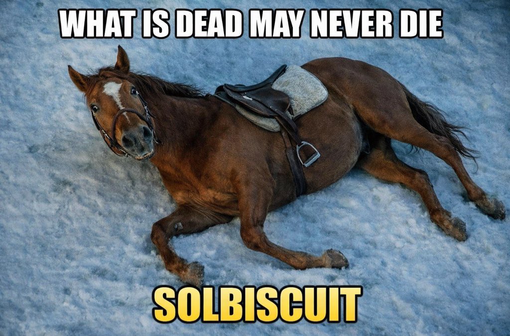 Solbiscuit 🐴 tweet media