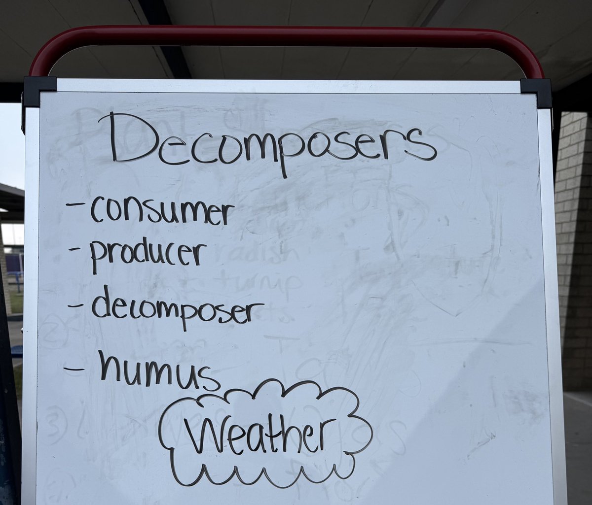 Producers Consumers And Decomposers Anchor Chart