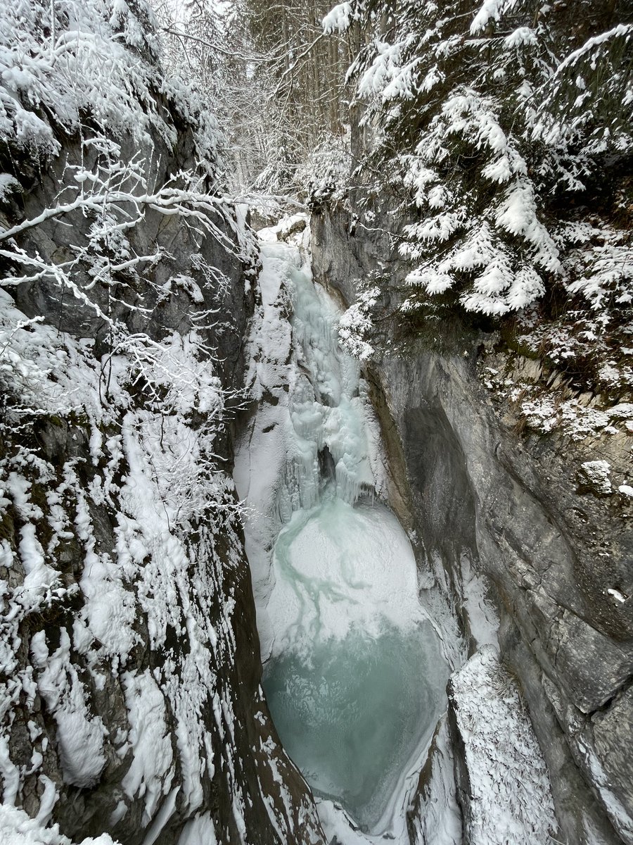 Ondřej Tregler (@ondratregler) on Twitter photo 