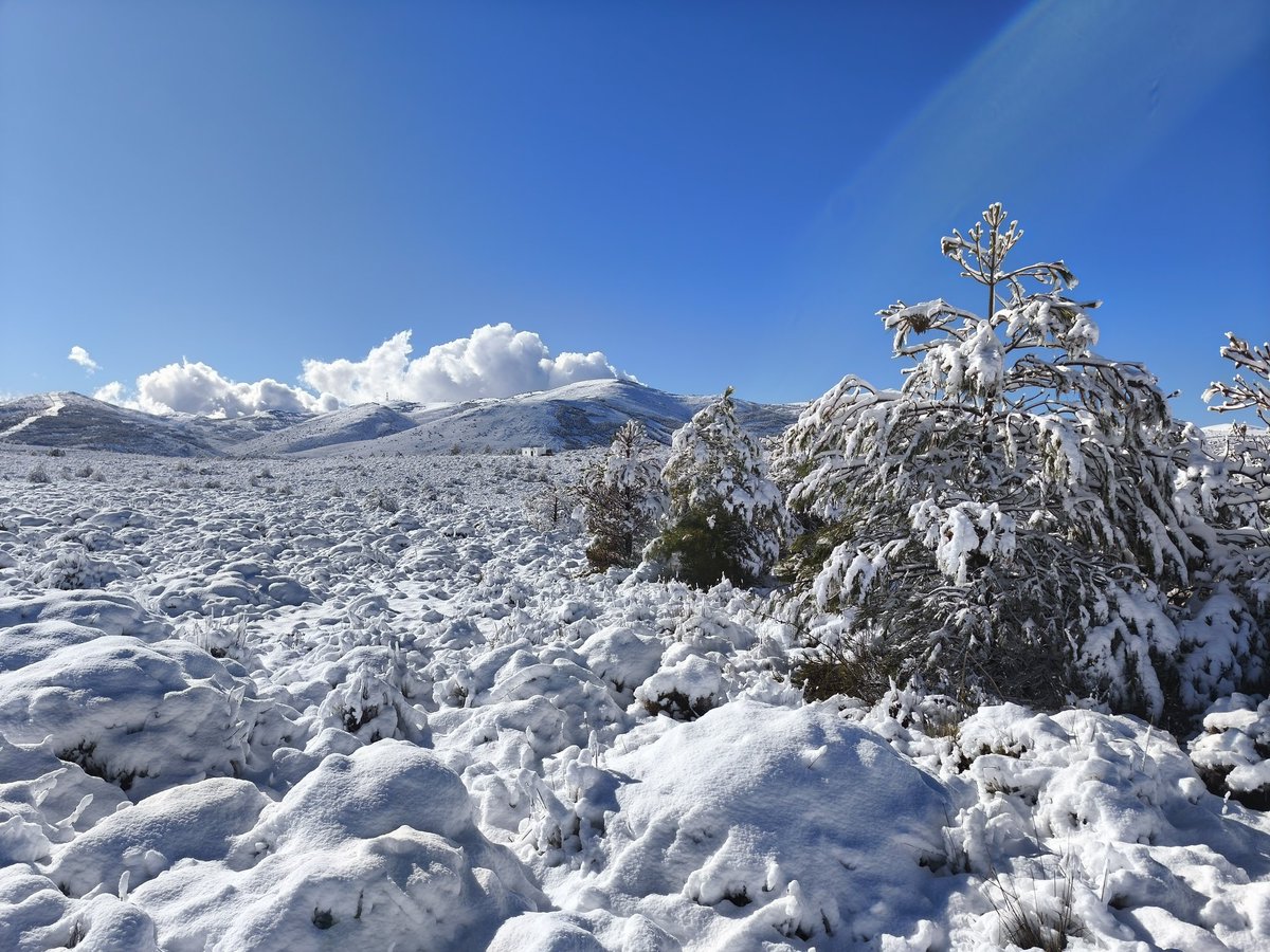 migueldeakad's tweet photo. Buena nevada en la Sierra de Gádor. Fotos tomadas a 1570 metros entre la Balsa del Calabrial y Nuevo Mundo. https://t.co/rM7jcB0ZHK