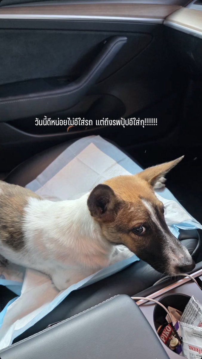 TheoryofYinWar's tweet image. พี่บอนซ์เม้าท์น้องบาบูนให้ฟัง ว่าโอนไปช่วยค่ารักษาเพราะหน้าน้องกวนตีน

#หยิ่นวอร์ #yinyin_anw @yinyin_anw @bonnadol #bonnadol