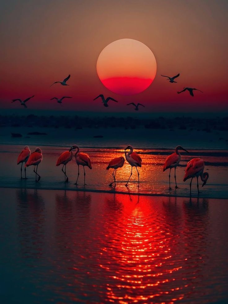 Sarılmak 
 "yalnız değilsin"
Demenin en sıcak hâlidir.

#iyiakşamlar