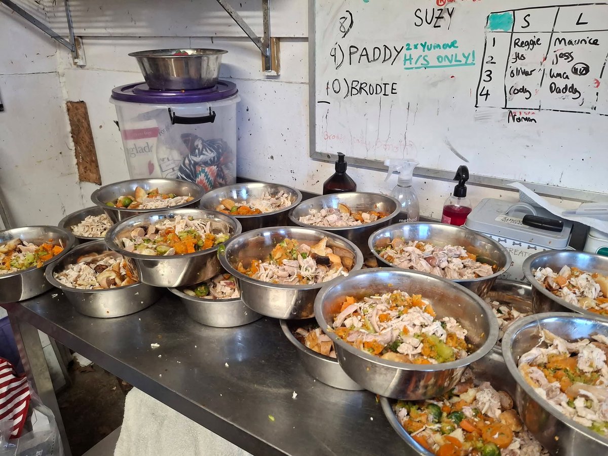 David Bowman tweet media