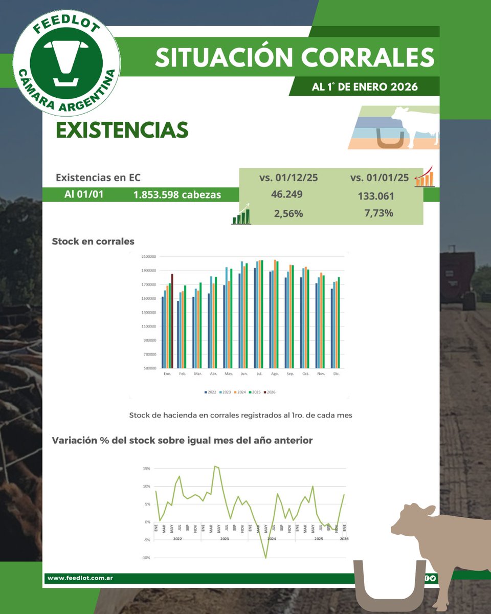 Feedlot Argentina tweet media