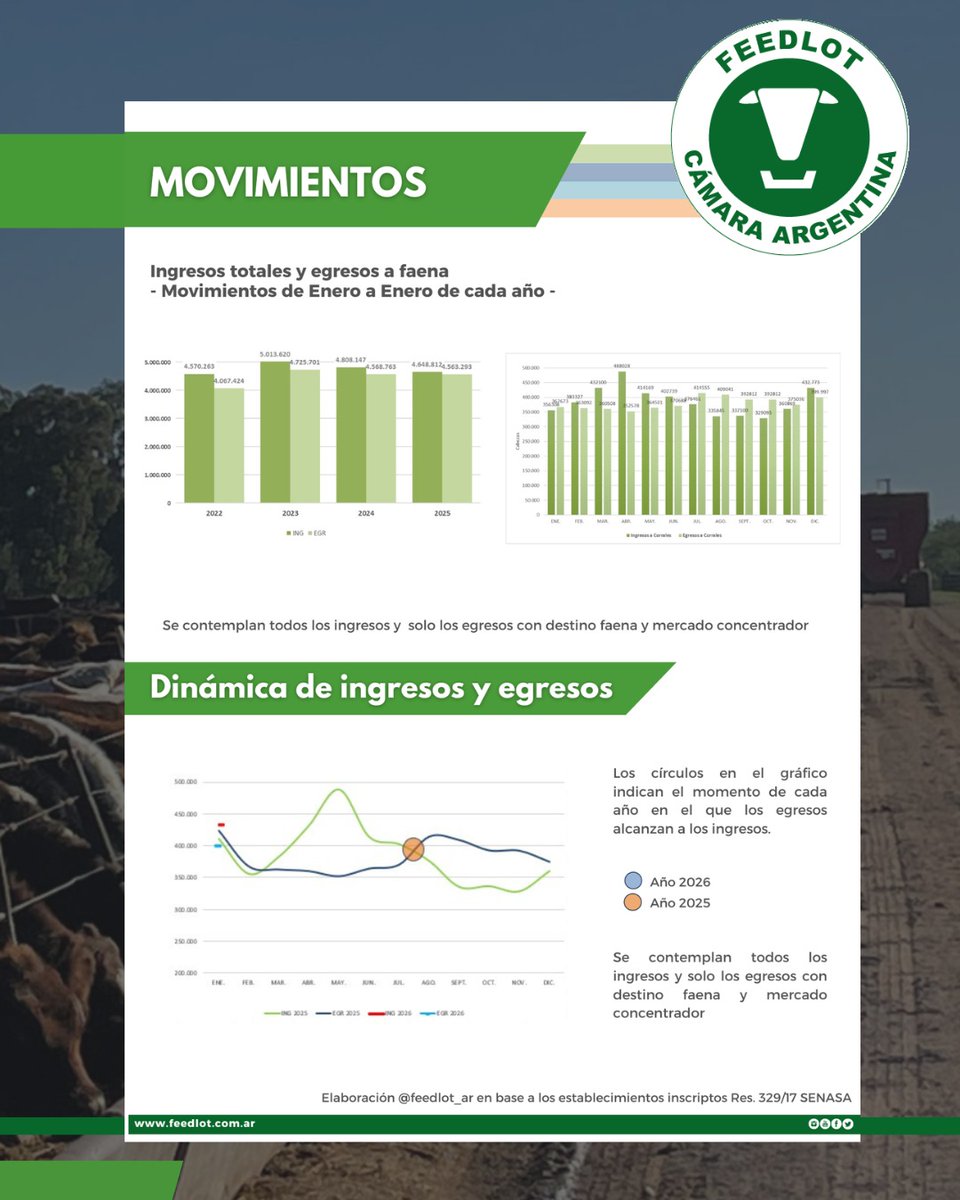 Feedlot Argentina tweet media