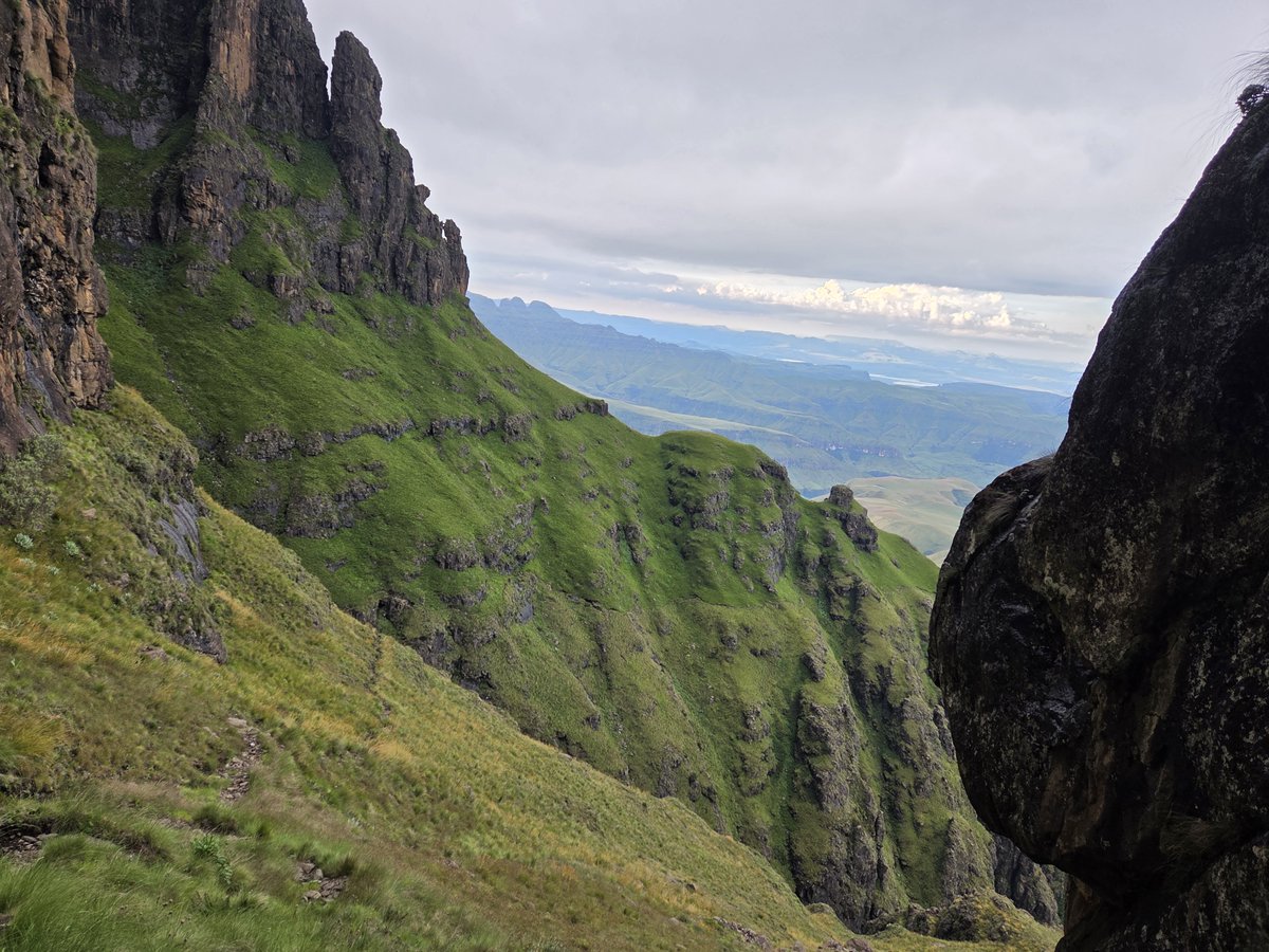 Sheena O'Connell tweet media