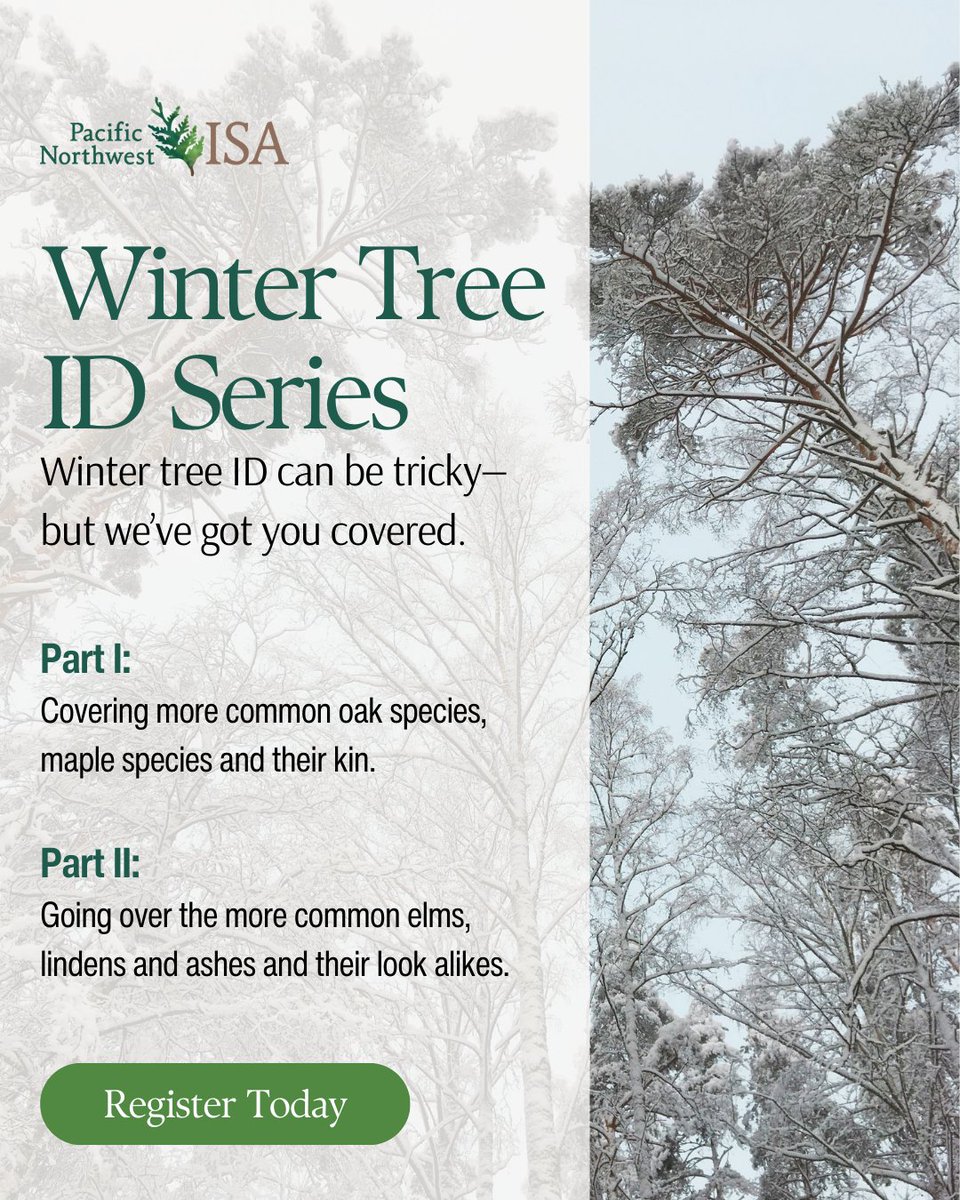 ⏰ Last chance! 

Winter Tree ID – Part Two is this Friday (12–2 PM PT).
Registration closes TOMORROW at noon—don’t miss 2 CEUs + expert instruction from Casey Clapp!
pnwisa.org/events/EventDe…

#PNWISA #TreeID