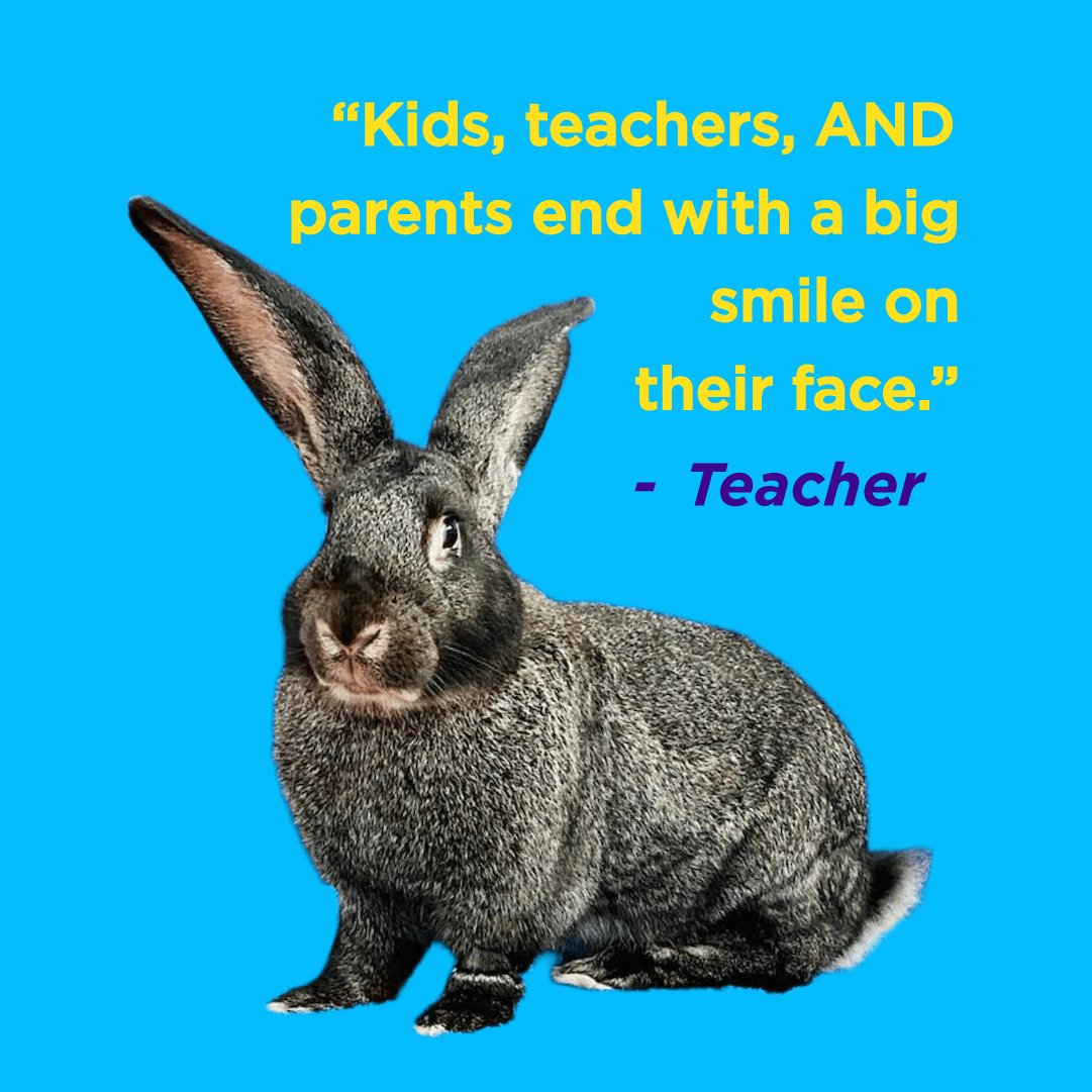 OnceInAWild's tweet photo. Hereโs what San Antonio educators are saying about our handsโon, classroomโready Reverse Field Trips.
Learn more at ๐ https://t.co/YYn4aef8Eb
Follow us for more San Antonio animal experiences!
#OnceInAWildZoo #WeBringTheZooToYou #ReverseFieldTrips #WildLearning https://t.co/5qmoB5m7vw