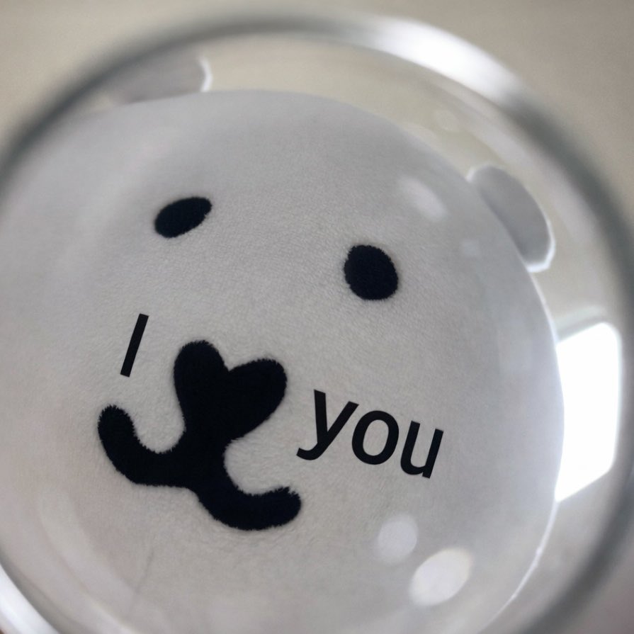 🐯 (semi ia) tweet media