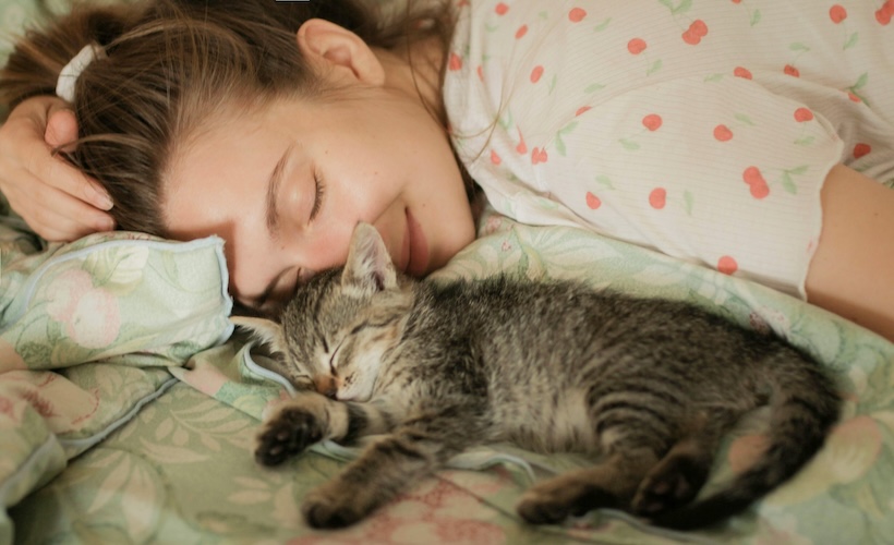 Reductress's tweet image. Uh Oh! White Woman Incapable of Naming Cat Something That Isn’t a Japanese Food Item: ow.ly/JNu050XSf7N