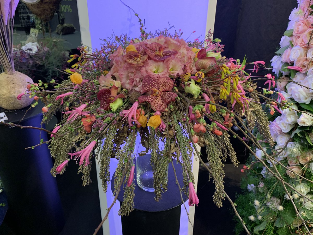 IPM Essen 2019 Germany. Astra Fund – your reliable supplier of plants and flowers from Holland.