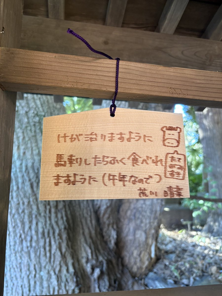 荒川晴菜 / HarunaArakawa tweet media