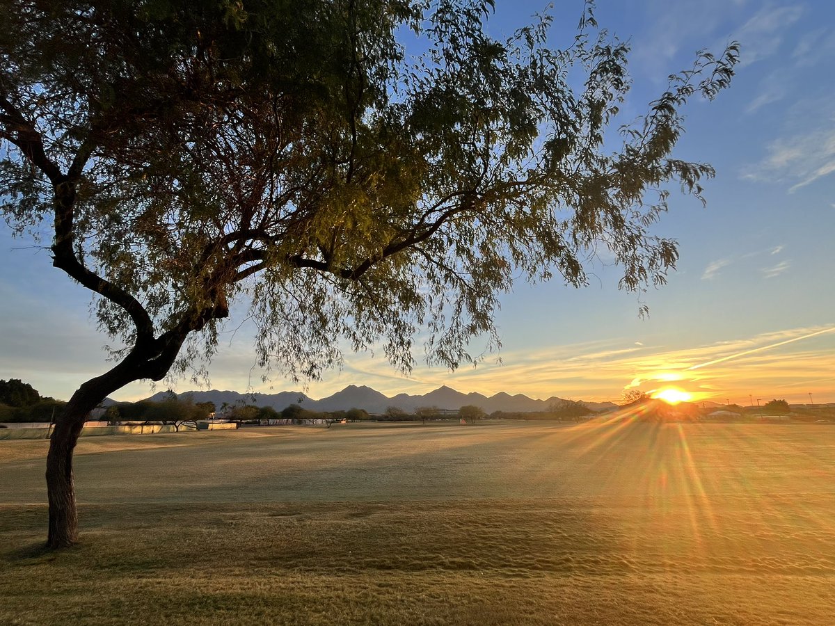 Tom Fergus tweet media