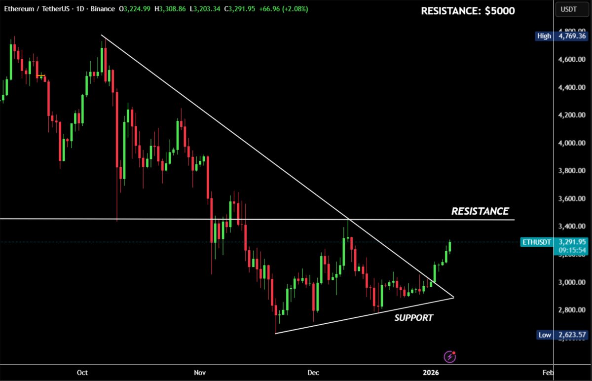 Bull Theory tweet media