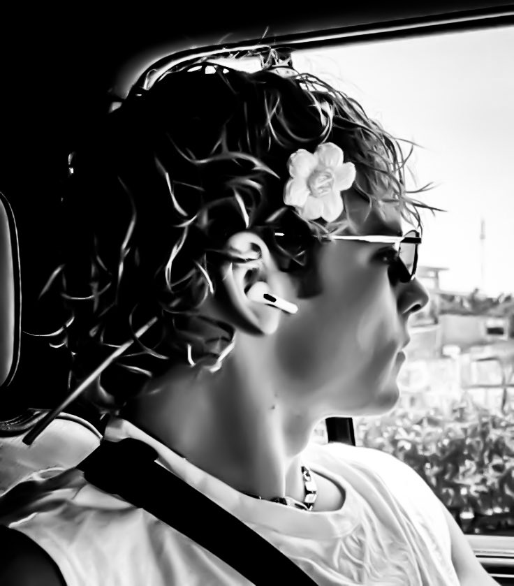 itseliwalker's tweet image. ᅠᅠ 

       ㅤㅤsunflower 

ᅠᅠ